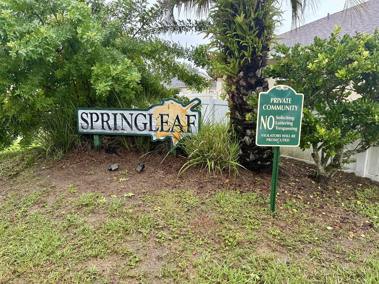 The Springleaf entrance sign beside palms and greenery